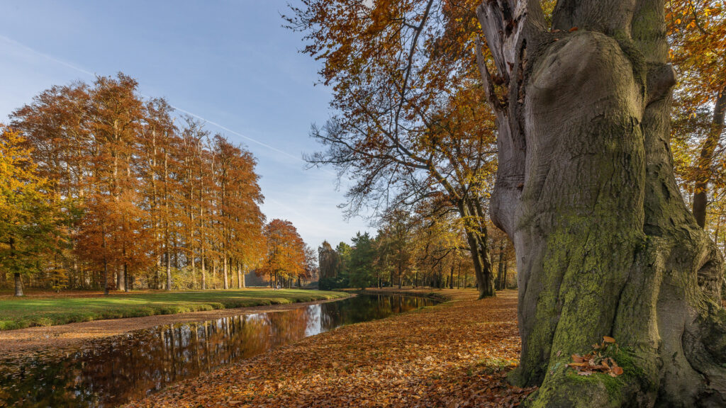 Escapades nature en octobre : immersion au cœur des plus beaux paysages d’automne en France