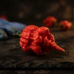 Piment